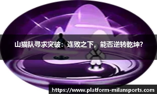 山猫队寻求突破：连败之下，能否逆转乾坤？